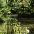 Etang du Bois Pouvreau - Ménigoute - Mai 09 © Florian Bernier