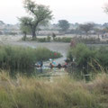 Blick über den Okavango nach Angola in Rundu