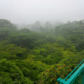 über dem Regenwald in Monteverde