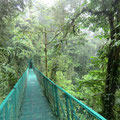 Hängebrücke im Regenwald in Monteverde