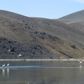 Laguna Santa Rosa, NP Nevado Tres Cruces