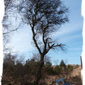 blaue Bank