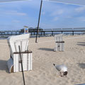Am Strand von Heringsdorf