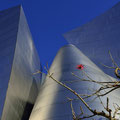 Walt Disney Concert Hall [Downtown Los Angeles] 