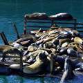 Fisherman´s Wharf, Monterey [California/USA]