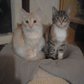 Leo + Gracey