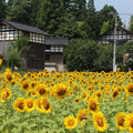 石川県金沢市平栗