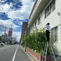 大阪府堺市・コクリコさかい