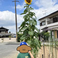兵庫県明石市