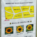 東京都の葛西臨海公園