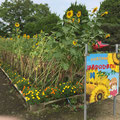 栃木県小山第三中学校