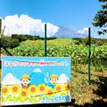 富士山こどもの国