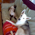 Guille schaft und Luna: ...mmm¿?