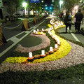 夜の風景　幻想的。