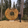 Title:Cycle of Harmony. Sculpture in the forest. Diameter 2.5 Meter. Wood Iron. 2021