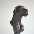 Hundeportrait. 2012. Orginalgrösse. Bronze