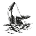 Orka, Oliver Dirr, Walfahrt, Illustration