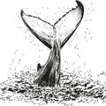 Fluke, Oliver Dirr, Walfahrt, Illustration