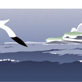 Möwen am Meer, Vektor Illustration, www.akiroell.de