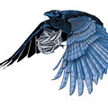 Rabe, Vektor Illustration, www.akiroell.de