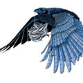 Rabe, Vektor Illustration, www.akiroell.de
