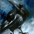 Rabe, Acryl auf Leinwand, Illustration, www.akiroell.de