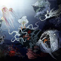 Sea Treasure, Schatz, Monster, Fische, Deep Sea, Ocean, Vektor Illustration, www.akiroell.de