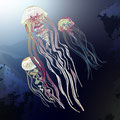 Quallen, Medusen, Ocean, Vektor Illustration, www.akiroell.de