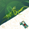 Gottesanbeterin, Mantis, Vektor-Illustration, www.akiroell.de