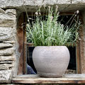 Fenster in Soglio