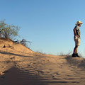 Desierto de Altar, Son