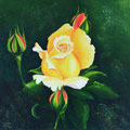 Gelbe Rose  - Öl auf Leinwand