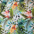 Monstera & co