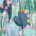 Cactus fleuris