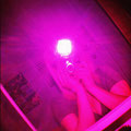 Me (+ Pink Flash)