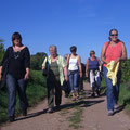 Spaziergang durch die Weinberge