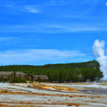 Yellowstone NP