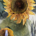 Sonnenblumen 31 x 24