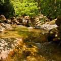 Carpesina Flussbad
