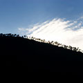 Montalto Ligure, Detail