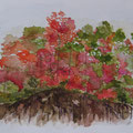 2010. Indian Summer in Canada 40x50