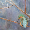 2019.IJsvogel  26x42 (pastel op grijs papier)