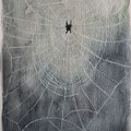 2020. Spin in z"n web14x24 aquarel en witte tekeninkt