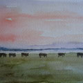 2014. Koeien in de opkomende zon (naar foto van Willem61) 24x30
