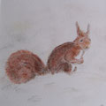 2010. Eekhoorn (pastel) 30x30
