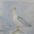2020.Meeuw 16x16