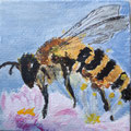 2018.Bijtje in bloesem 6,5x6,5 (acryl op doek)