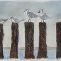 2015.Meeuwen op het strand 12x37