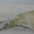 2017.Groene Strand van Terschelling 17x26