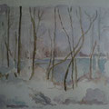 2013.Winter in Canada 30x40  